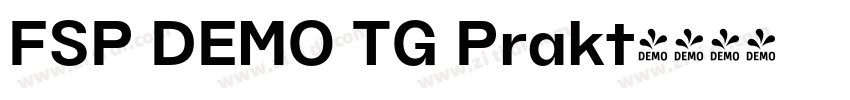 FSP DEMO TG Prakt字体转换 FSP DEMO TG Prakt字体转换